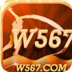 W567 Game