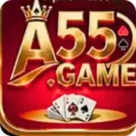 A55 Game