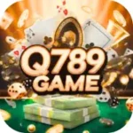 Q789 Game