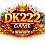 DK222 Game