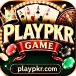 PlayPkr Game