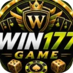 Win 177 Game