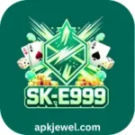 SK E999